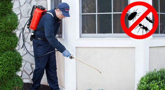 Sındırgı Böcek ve Haşere İlaçlama böcek ilaçlama ve haşere kontrolü — ilaclama-tr.com